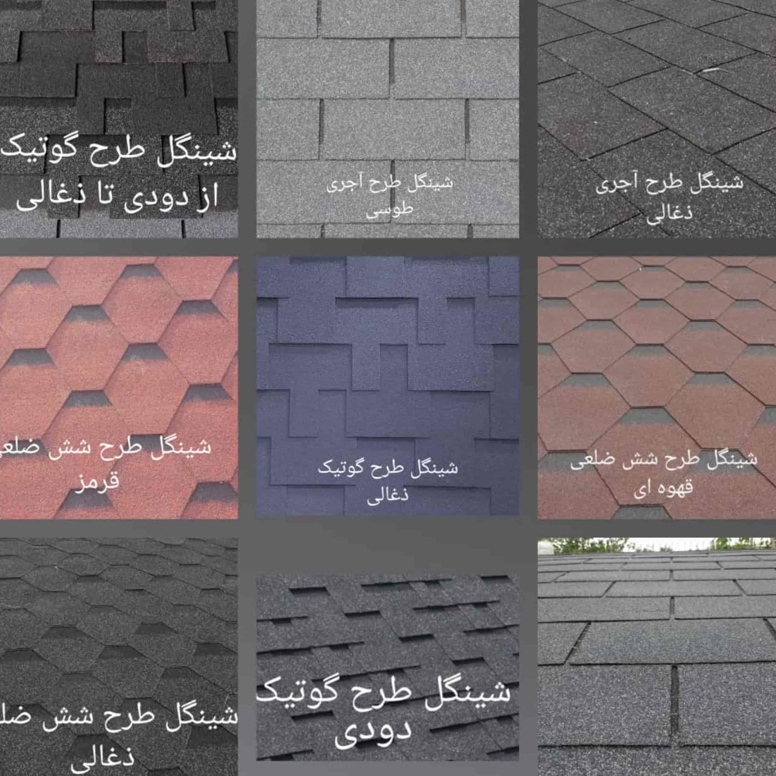 شینگل