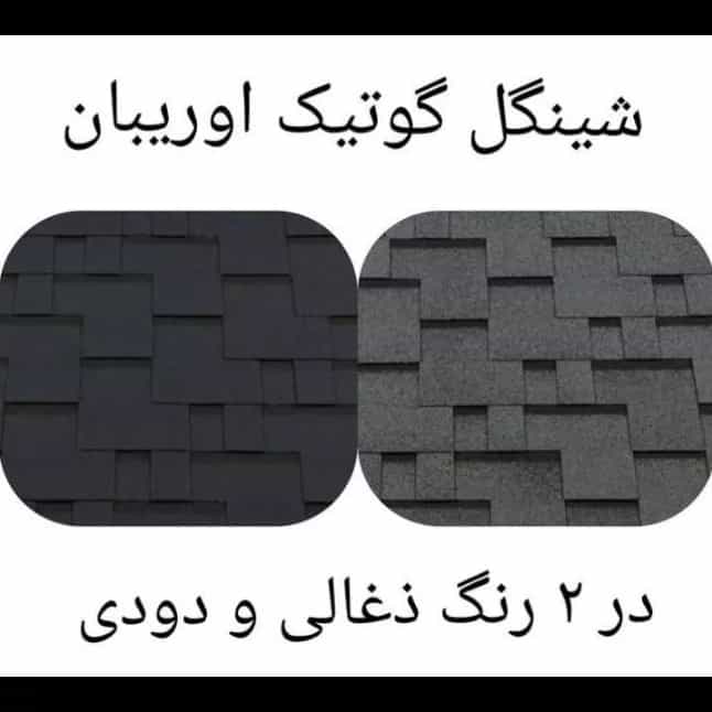 1688283929663.webp